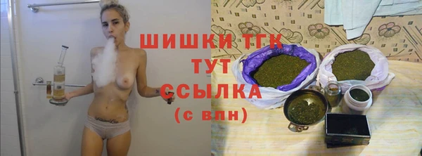 эйфоретик Магас