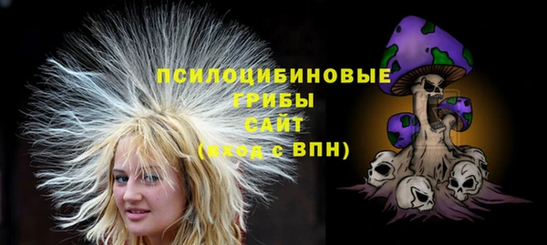 эйфоретик Магас