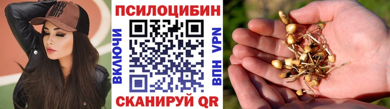 кракен зеркало  Нижнекамск  Галлюциногенные грибы мицелий 