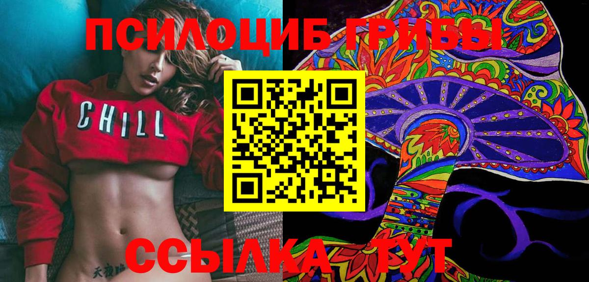 Псилоцибиновые грибы Cubensis  Вход с VPN  Нижнекамск 