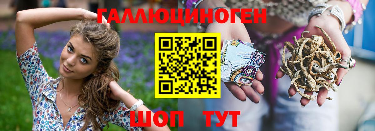 Псилоцибиновые грибы Psilocybe Нижнекамск