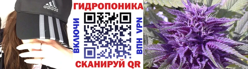 Бошки марихуана сатива  ОМГ ОМГ вход  Нижнекамск  купить наркотик 